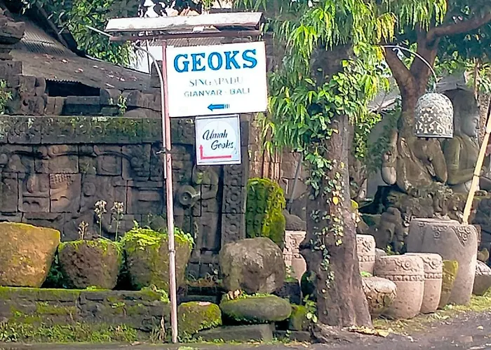 Umah Geoks